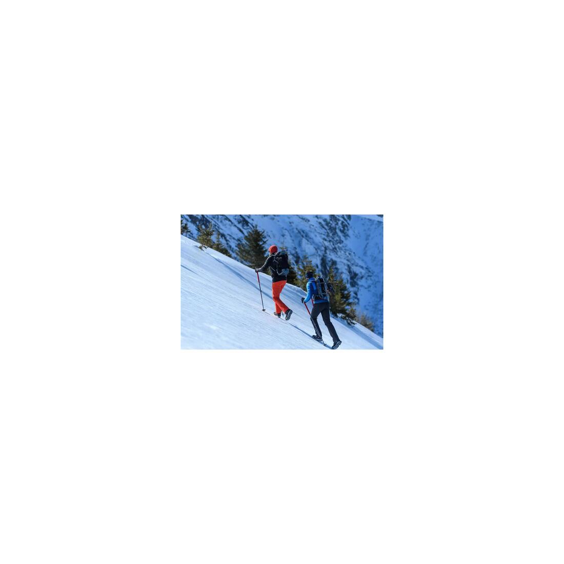 IMG_8384958_9