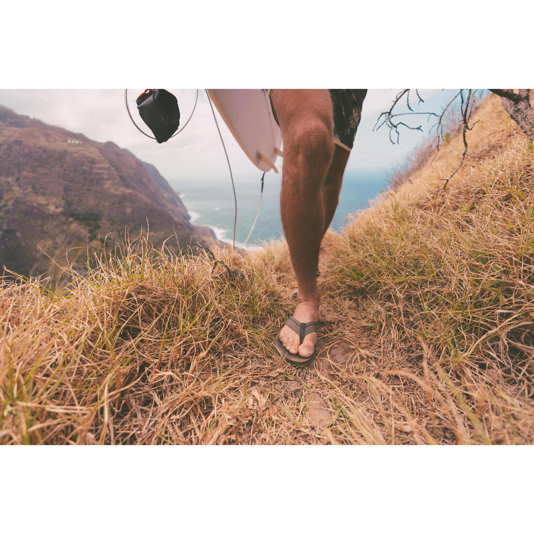 IMG_8788220_5