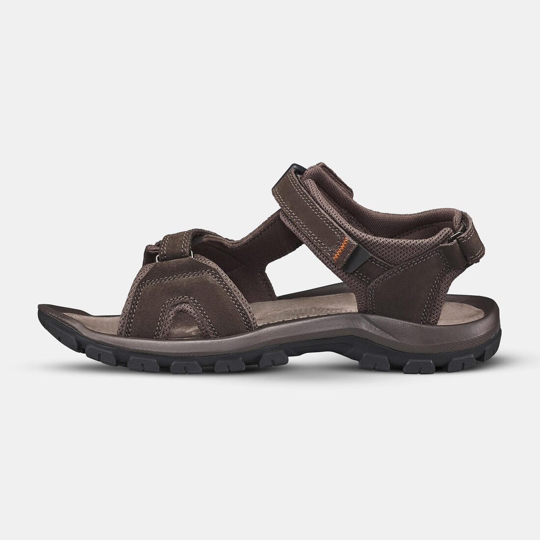 IMG_8583436_2