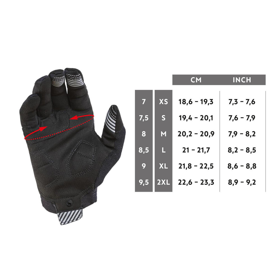 IMG_8529824_5