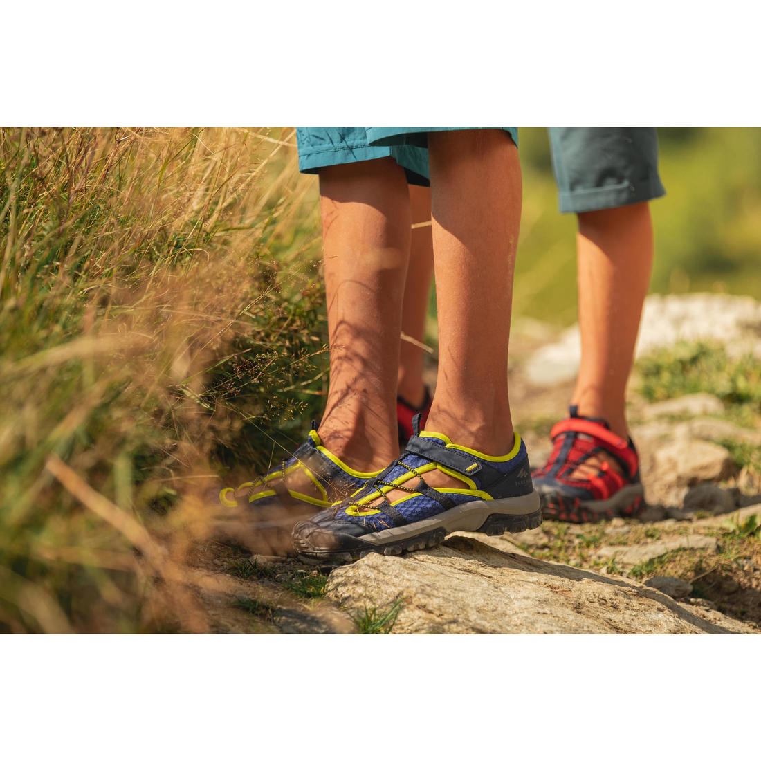 IMG_8561508_7