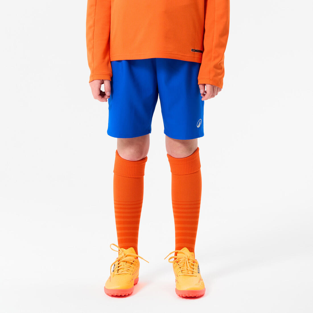 IMG_8558503_1