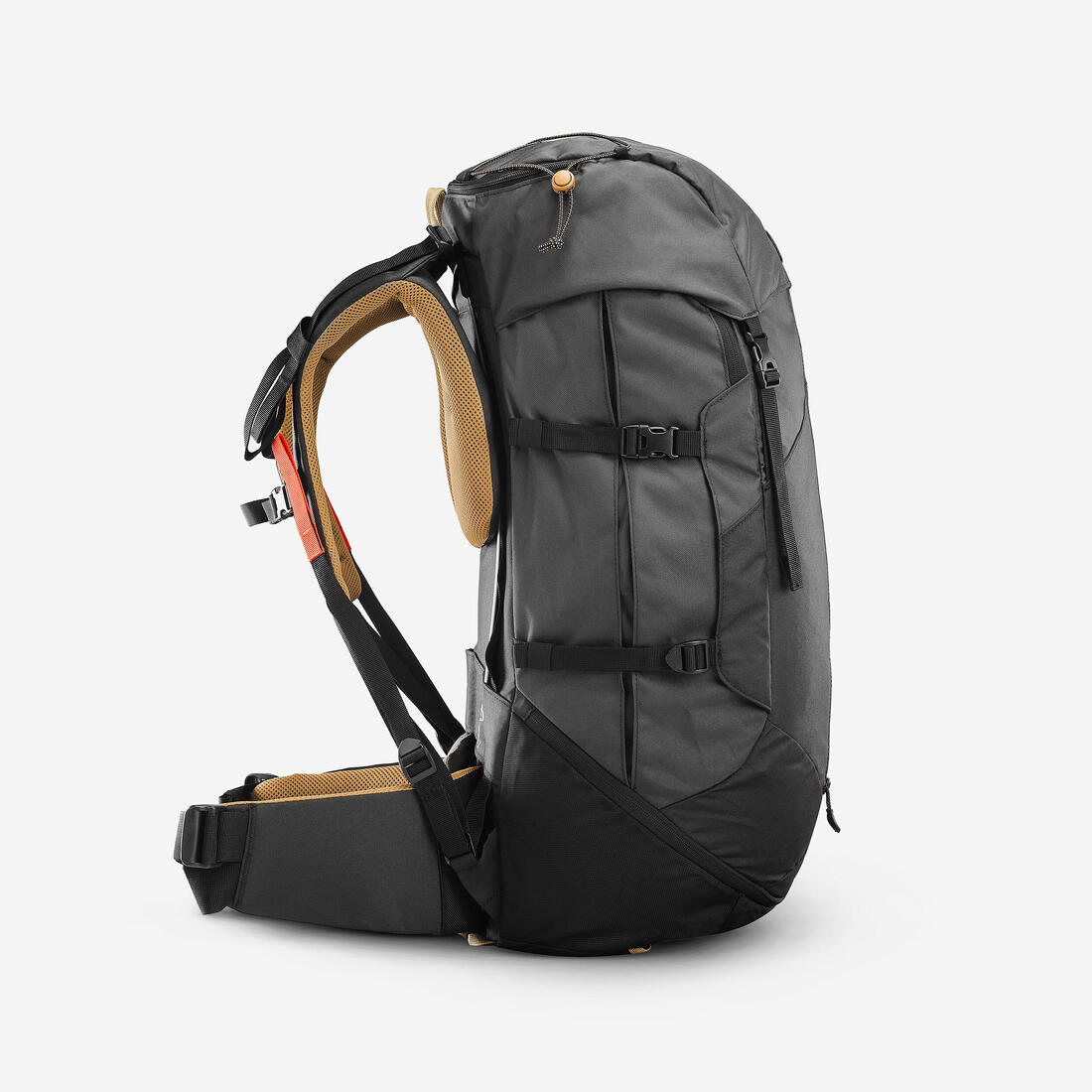 IMG_8559690_5