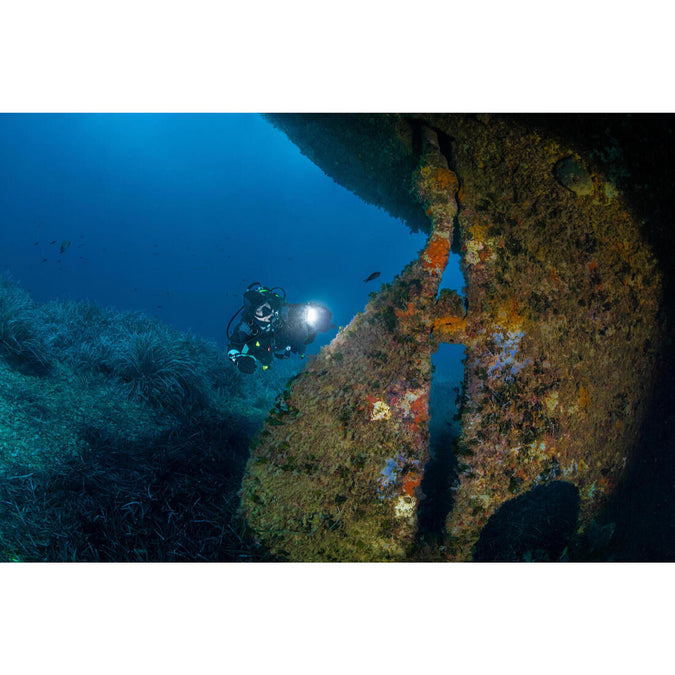 Image, photo 11 of 11