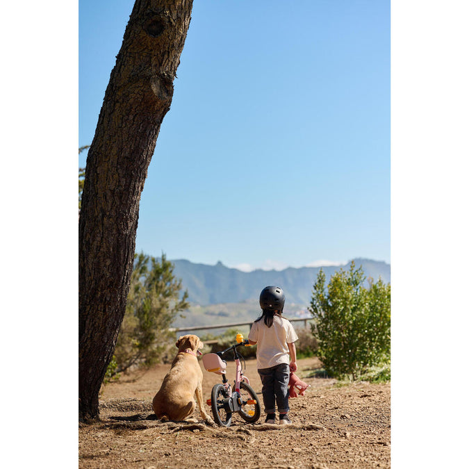 Image, photo 22 of 22