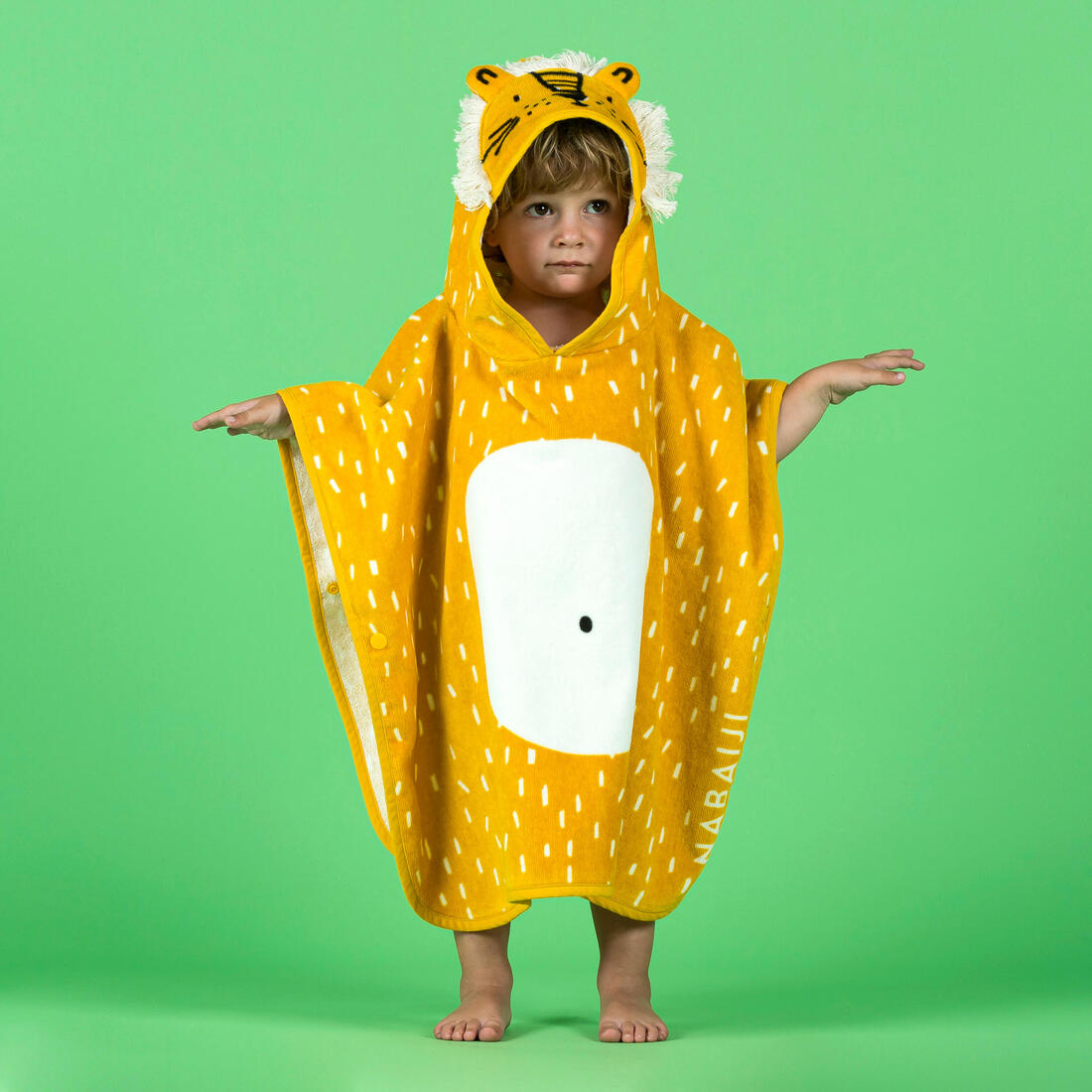 IMG_8830811_2