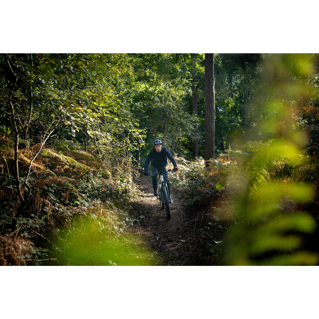 IMG_8618918_12