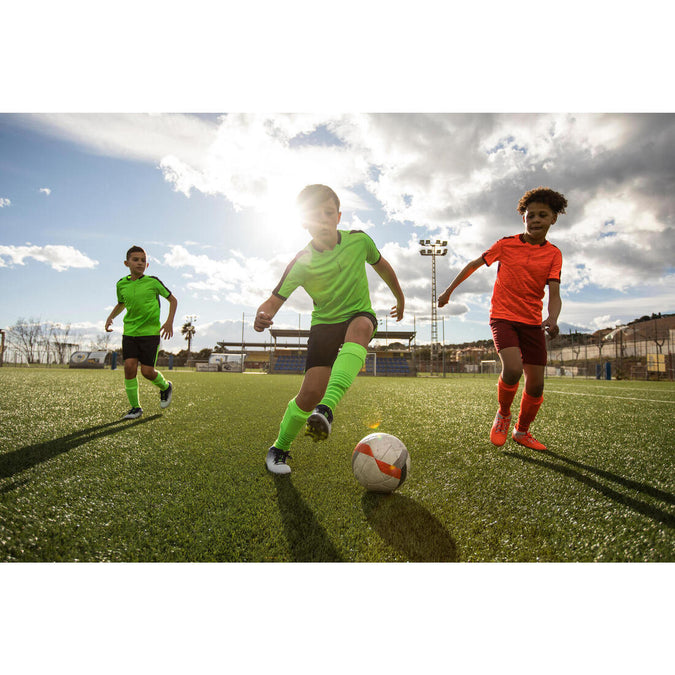 Image, photo 7 of 10