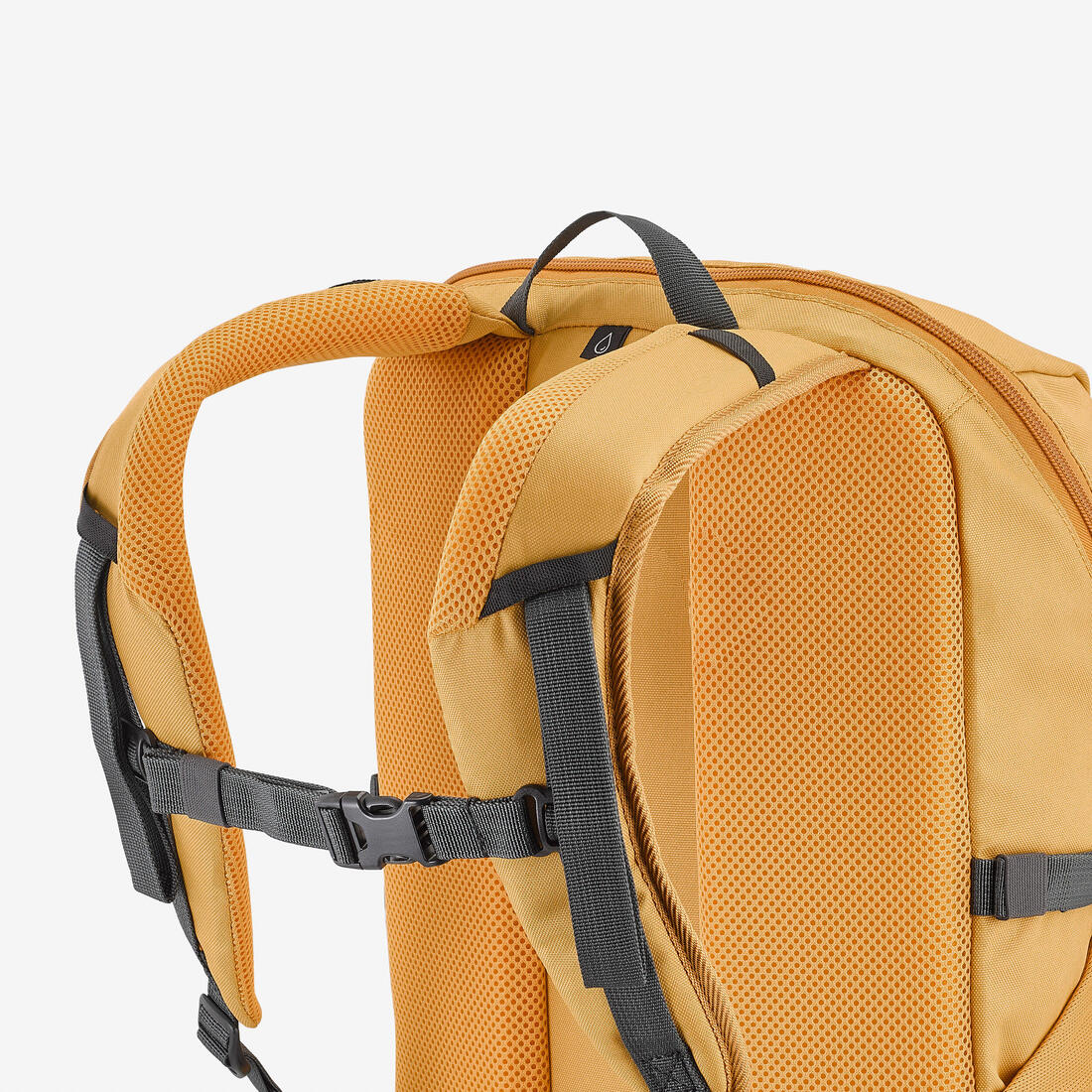 IMG_8844390_14