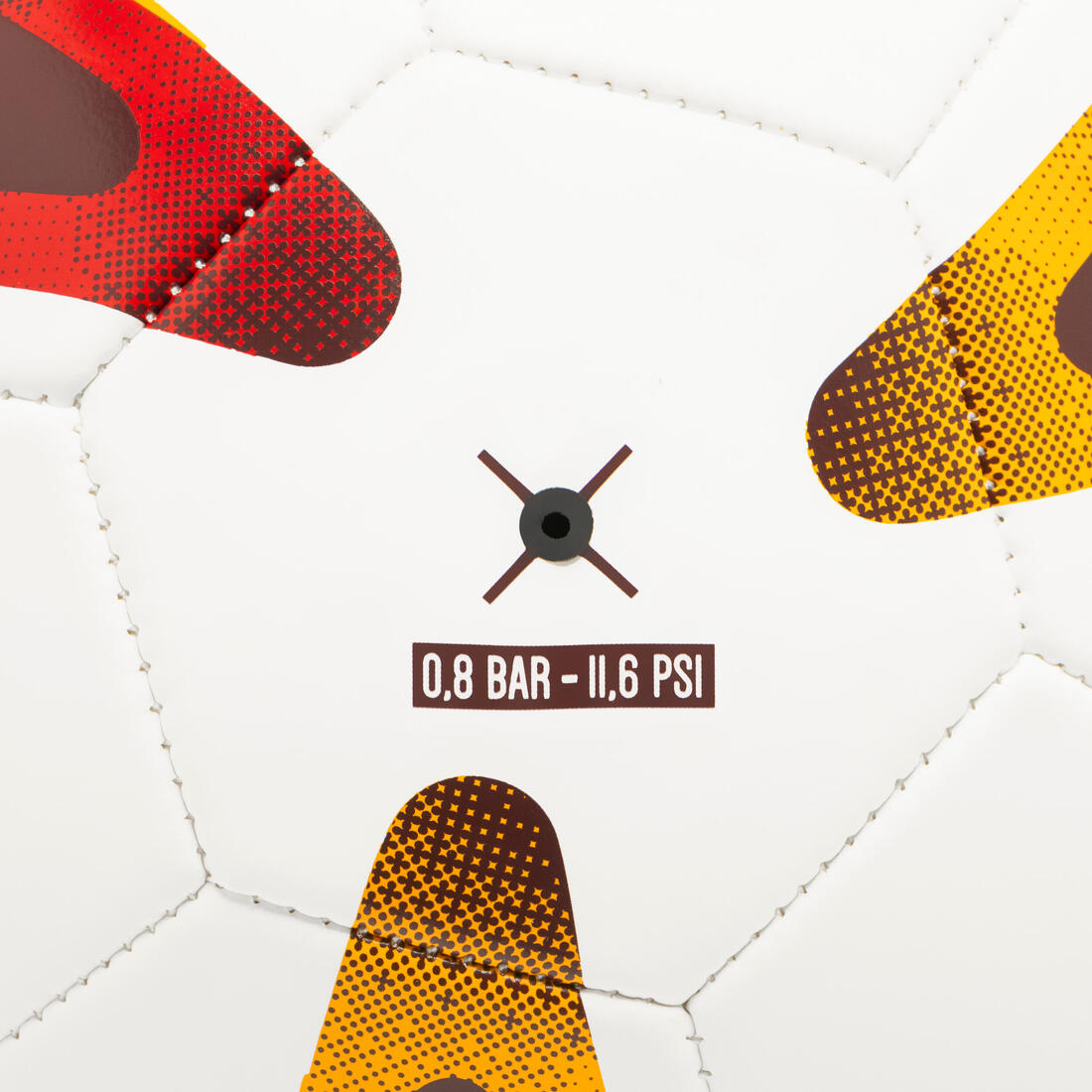 IMG_8949586_4