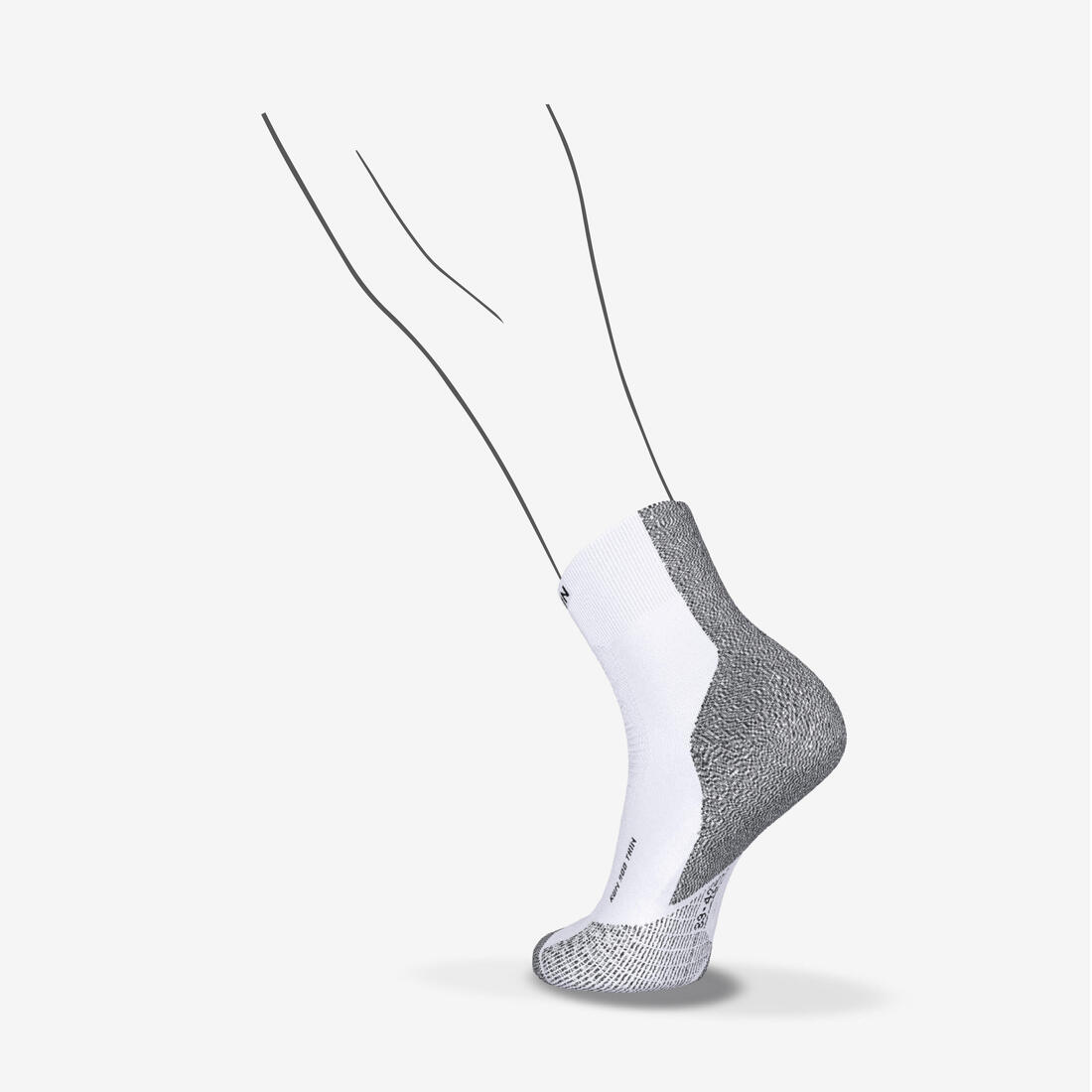IMG_8901351_2