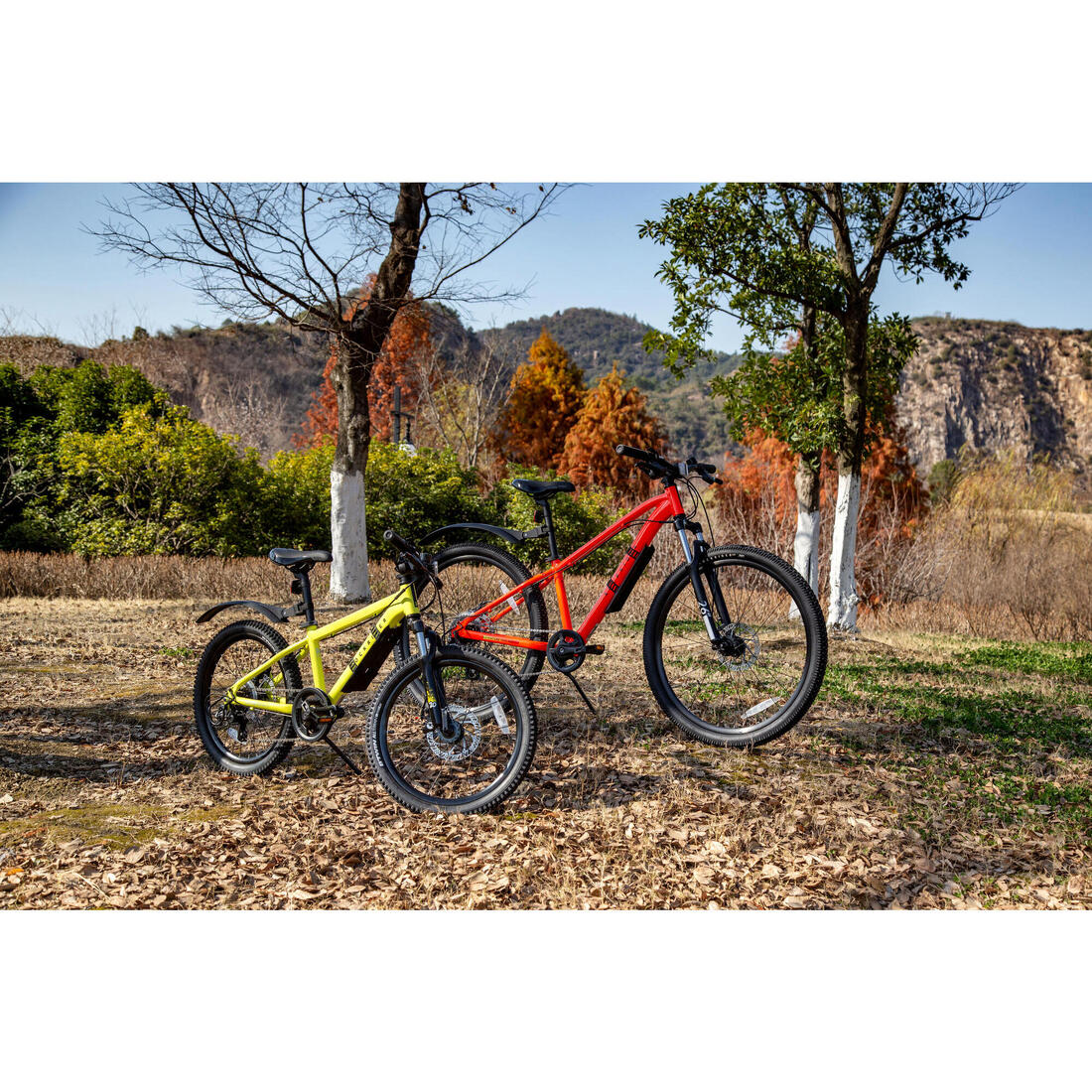 IMG_8609148_14