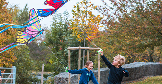 طائرات ورقية