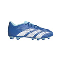 IMG_1008899039_1