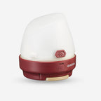 بني تاركوتا