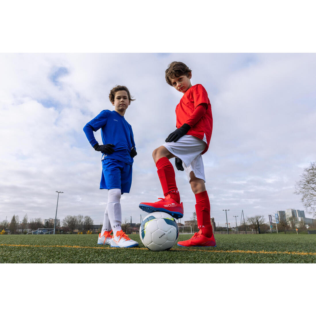 IMG_8558494_8