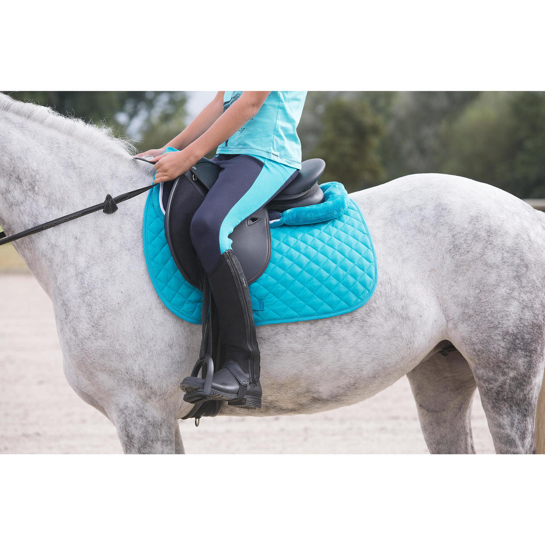 IMG_8367266_10