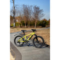 IMG_8609148_12