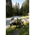 Product thumbnail 9 of 11