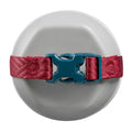 IMG_8492467_6