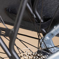 IMG_8642485_5