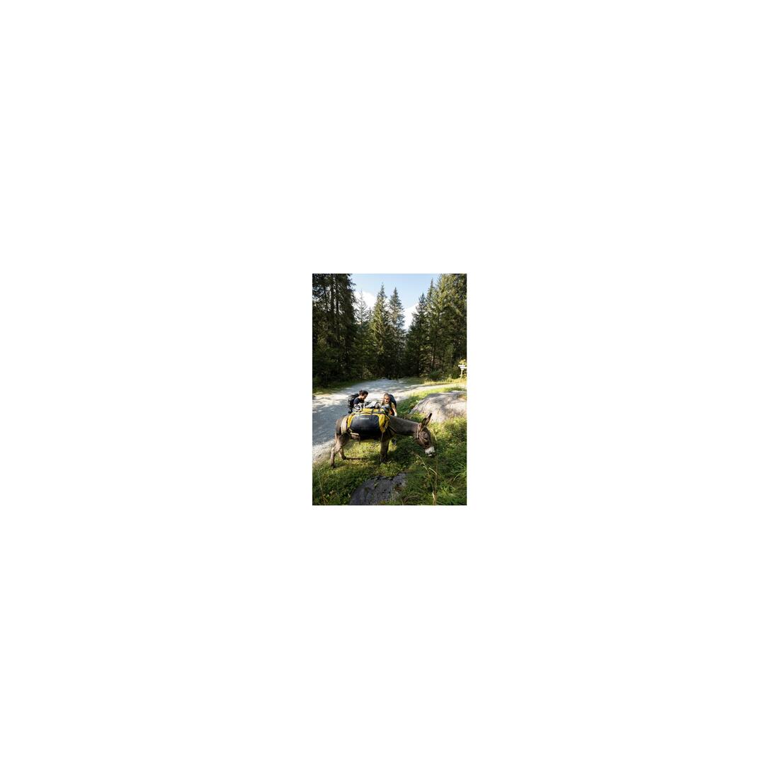 IMG_8383301_12
