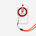 برتقالي بابايا