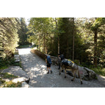 Product thumbnail 14 of 14