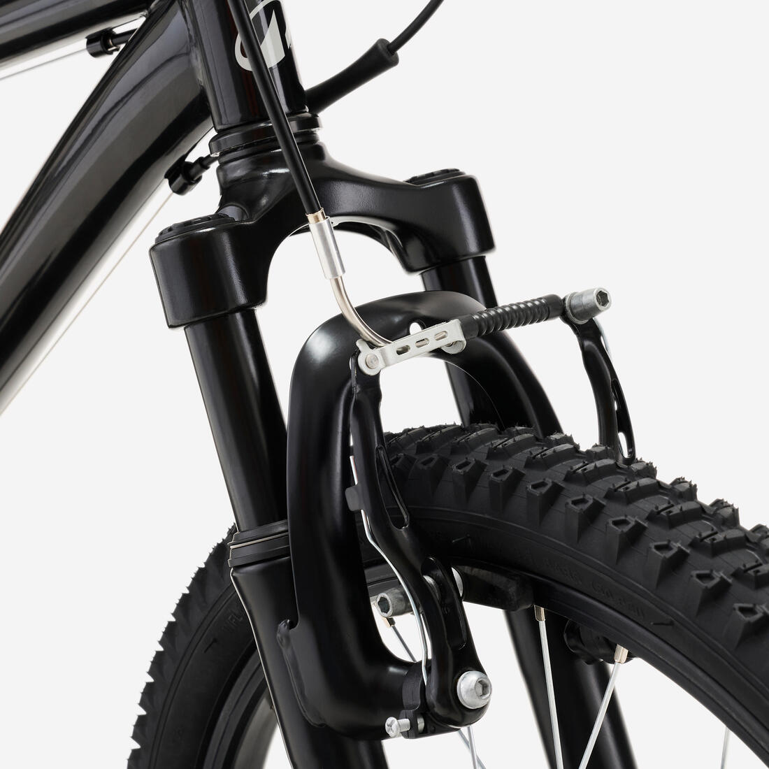 IMG_8733720_7