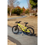 Product thumbnail 13 of 17