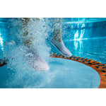 Product thumbnail 10 of 13