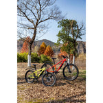 Product thumbnail 15 of 17