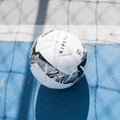 IMG_8497537_6