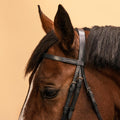IMG_8339776_4
