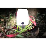 Product thumbnail 11 of 11