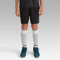 IMG_8558505_1