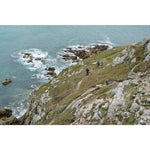 Product thumbnail 13 of 13