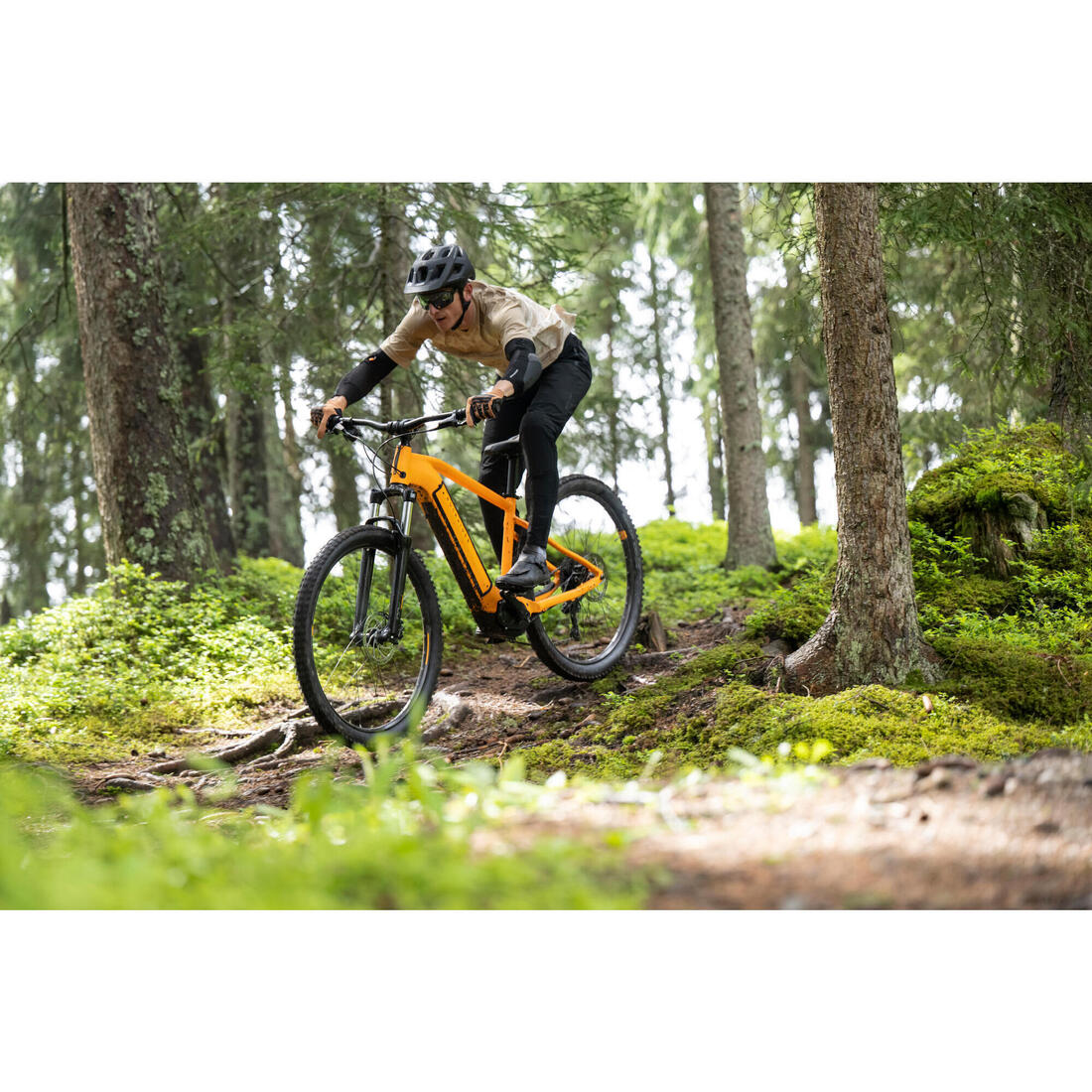 IMG_8529388_13
