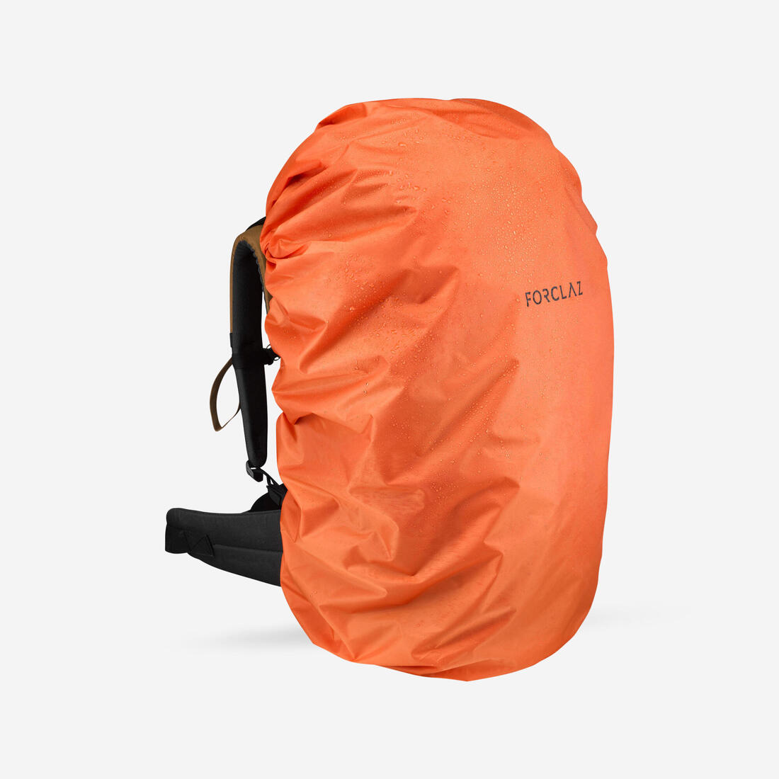 IMG_8559841_1