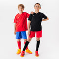 IMG_8558492_2