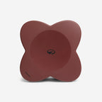 بني تاركوتا