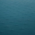IMG_8601381_7